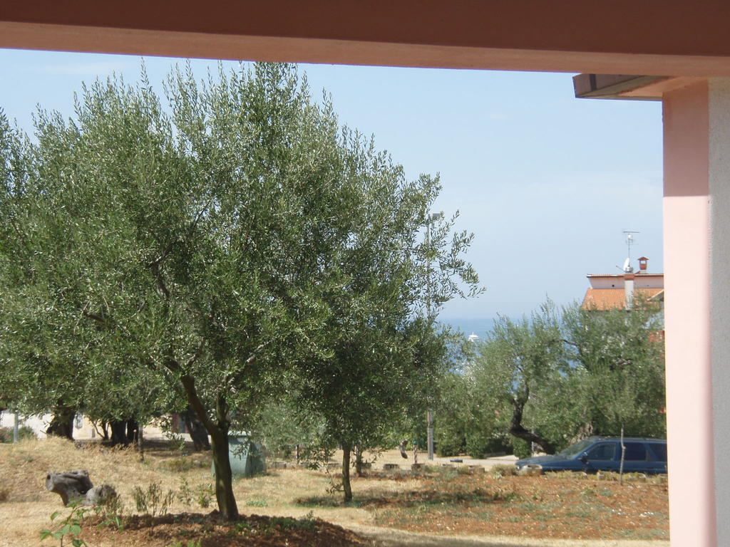 Guest House Zohil Rovigno Camera foto